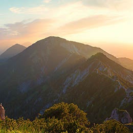 Portfolio%20Playbook