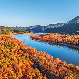 View%20of%20a%20road%20with%20fall%20colours