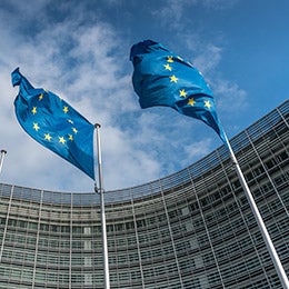 European%20flags%20flying%20in%20the%20EU