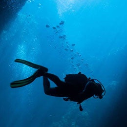 Deep Discovery
