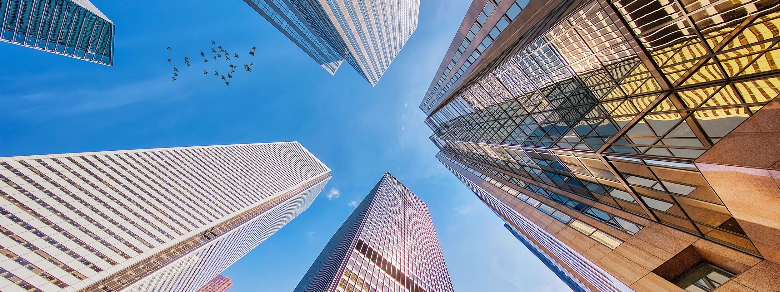 Invesco Real Estate Portfolio