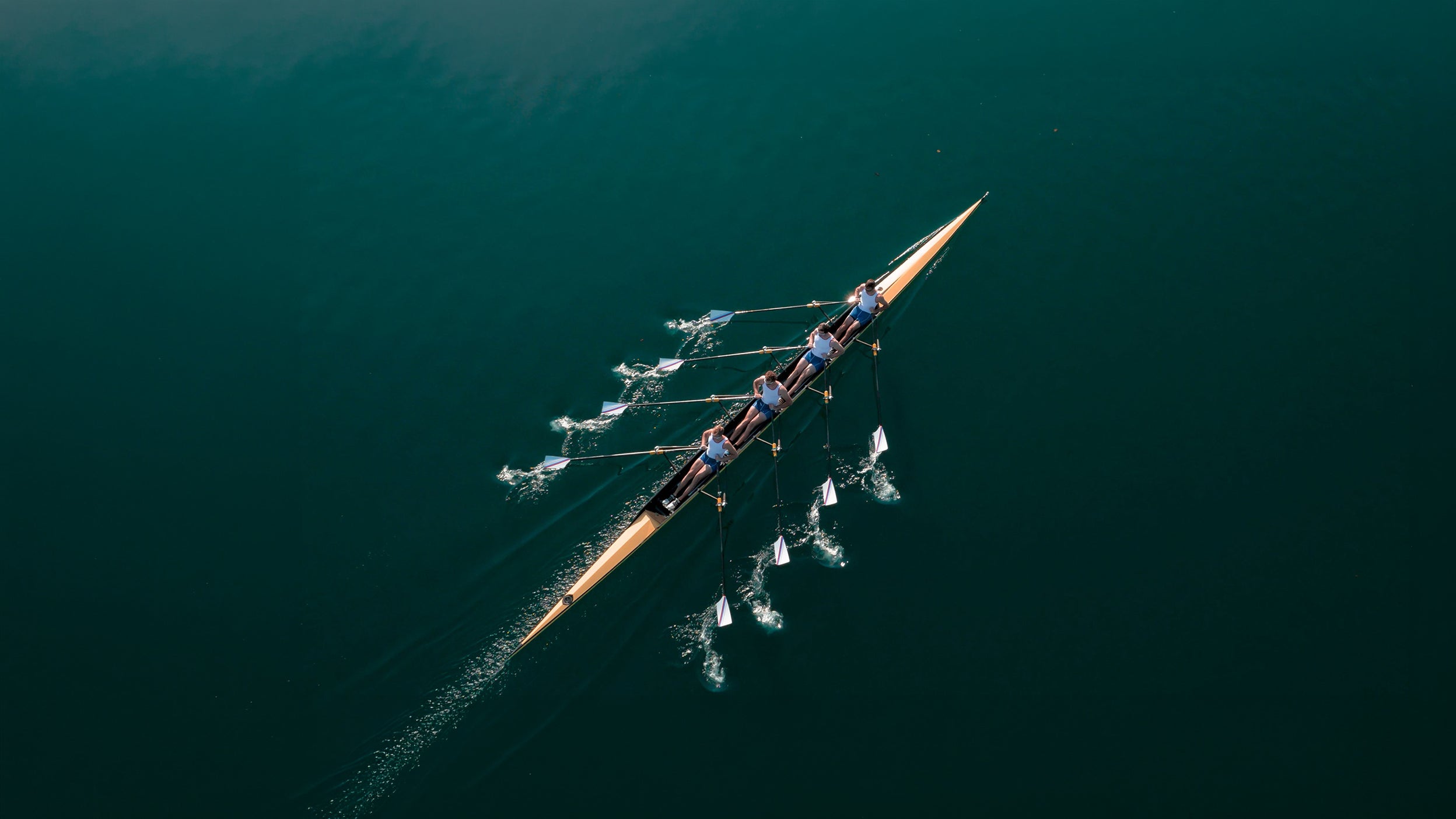 Four male rowers sculling on lake in sunshine.