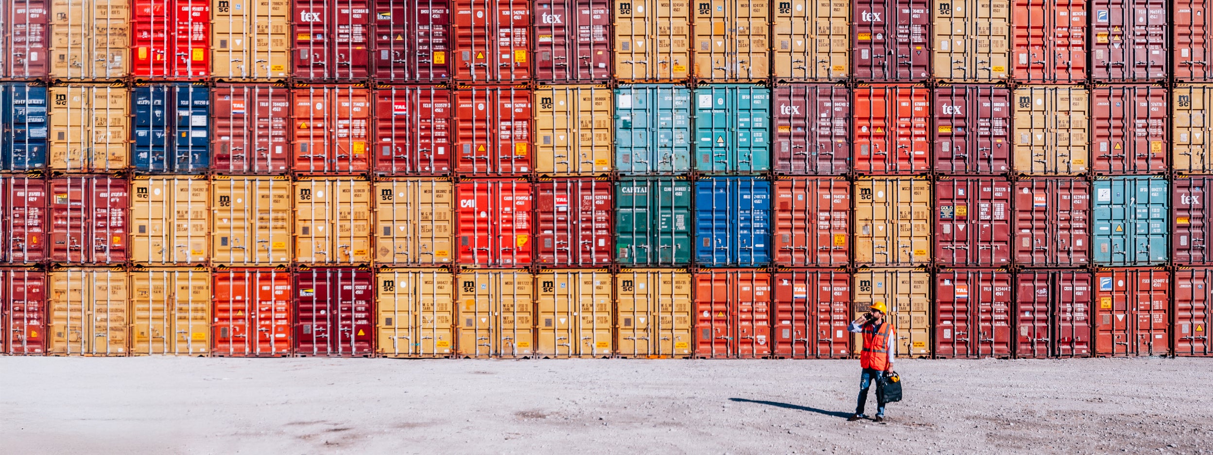 Engineer in front of colorful cargo container stacks in shipping port