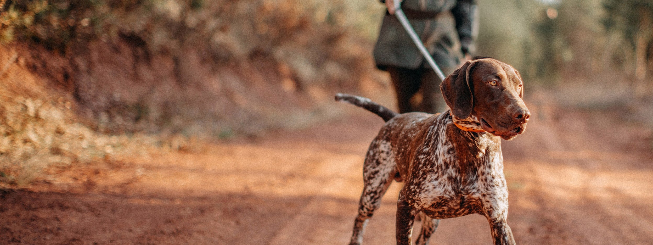 Women walking a dog