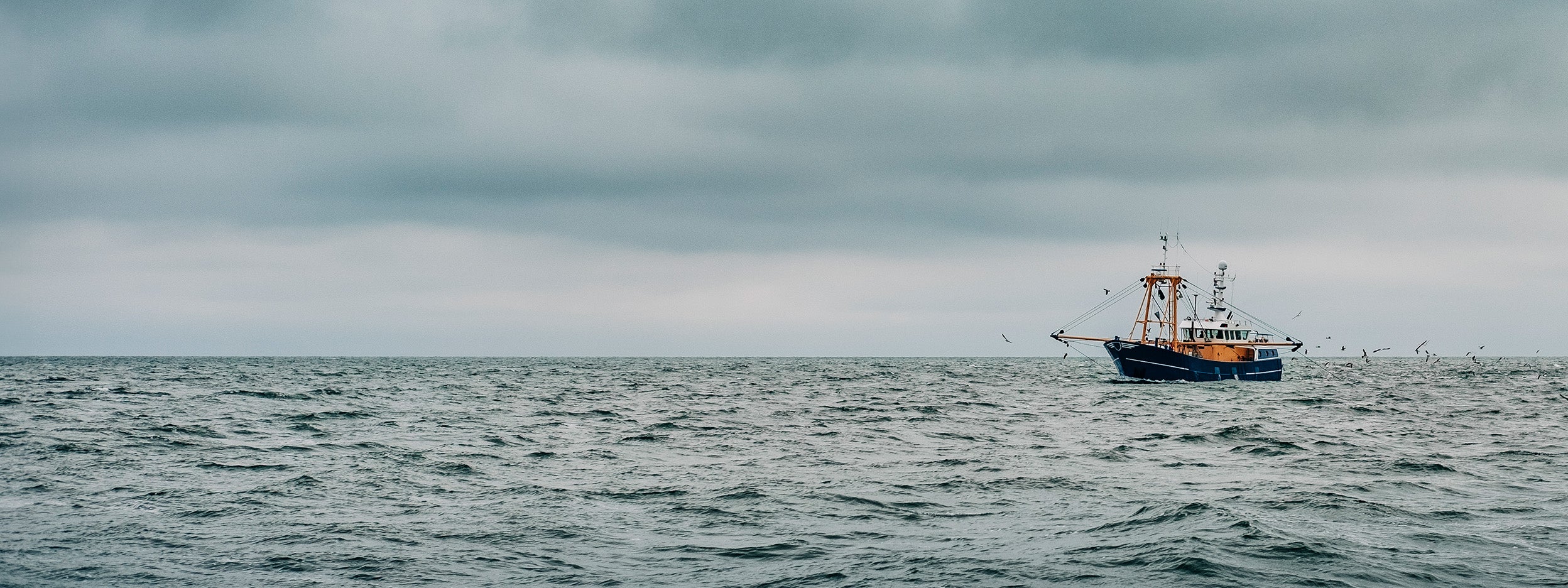 A boat in sea