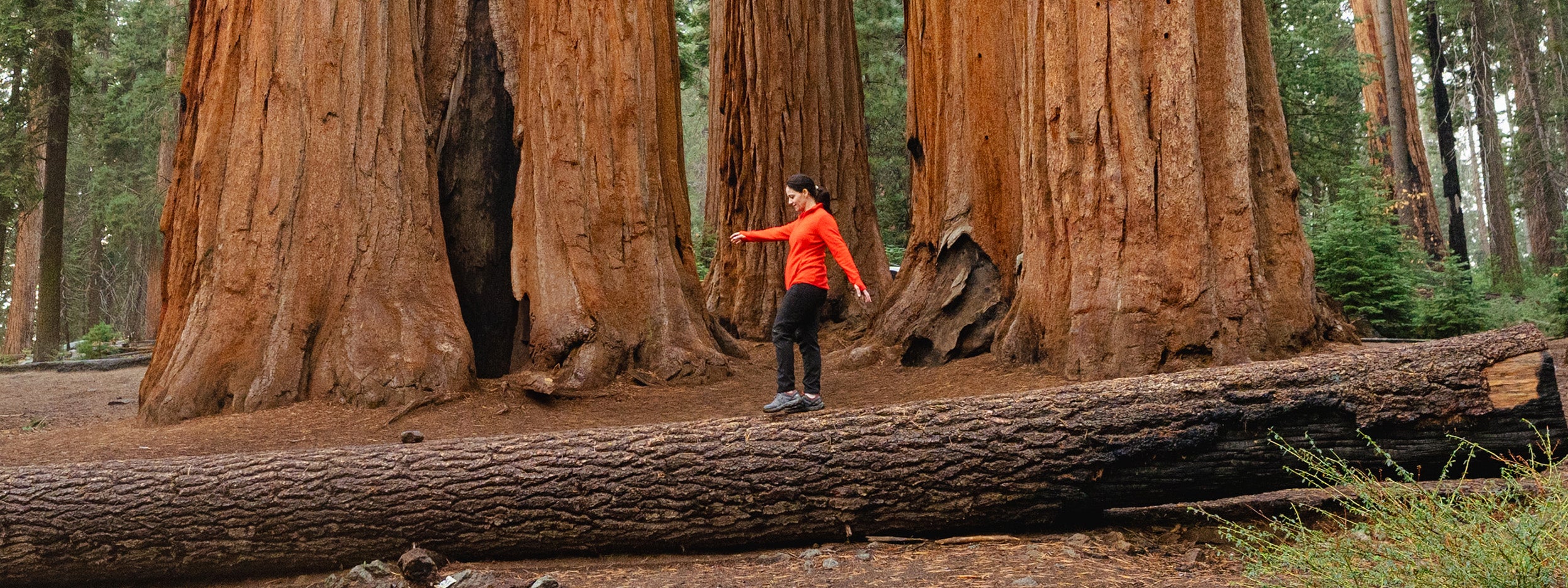Couple working in laptop
