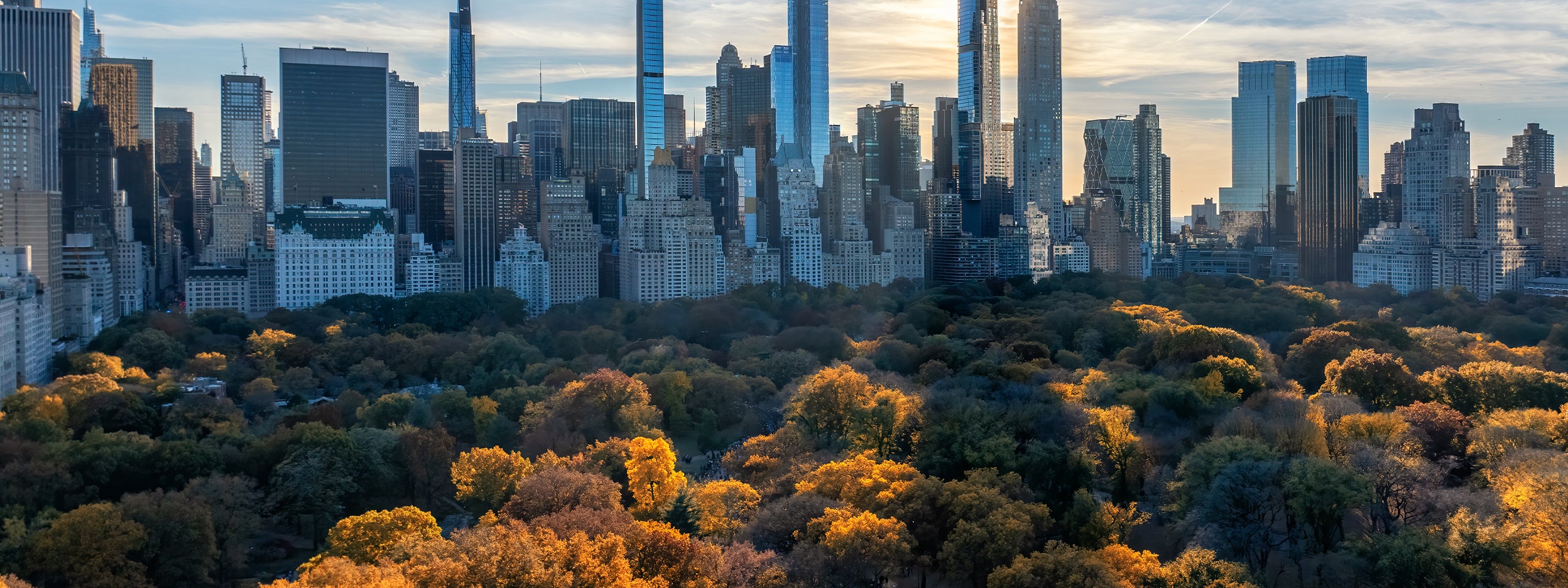 New York City views