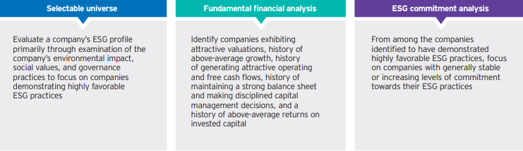 ESG Opportunity - Selection process