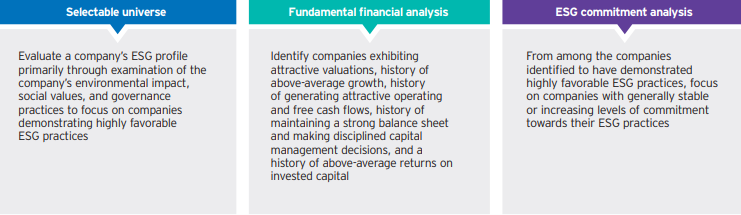   ESG Opportunity - Selection process