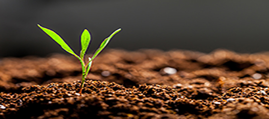 Invesco Unit Trust - TGMT - Targeted opportunity in fixed income